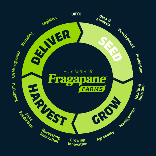 Fragapane Farms Approach